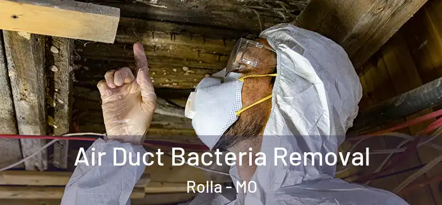  Air Duct Bacteria Removal Rolla - MO