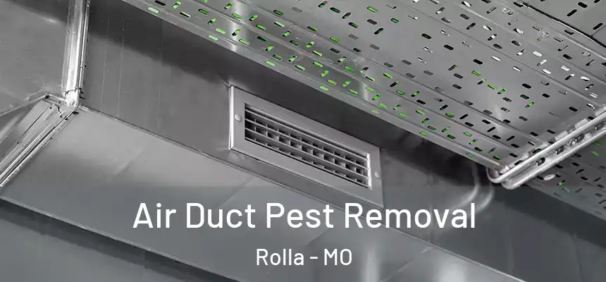  Air Duct Pest Removal Rolla - MO