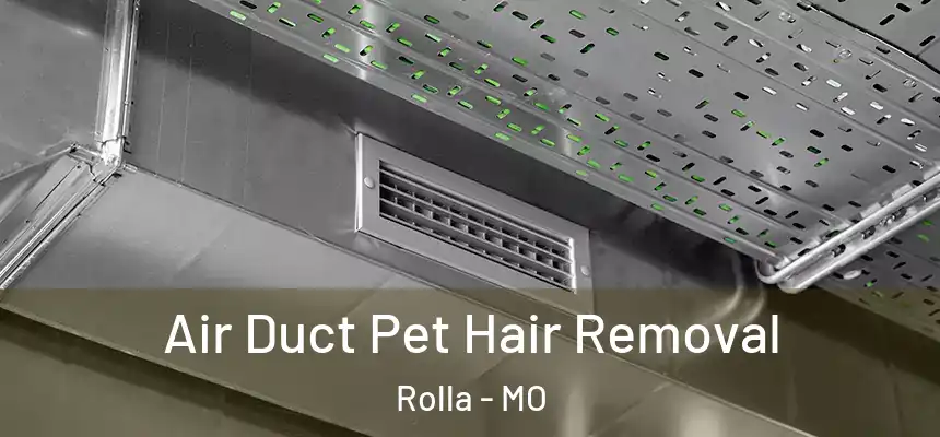  Air Duct Pet Hair Removal Rolla - MO
