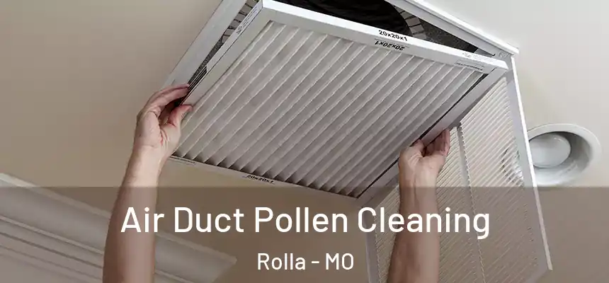  Air Duct Pollen Cleaning Rolla - MO