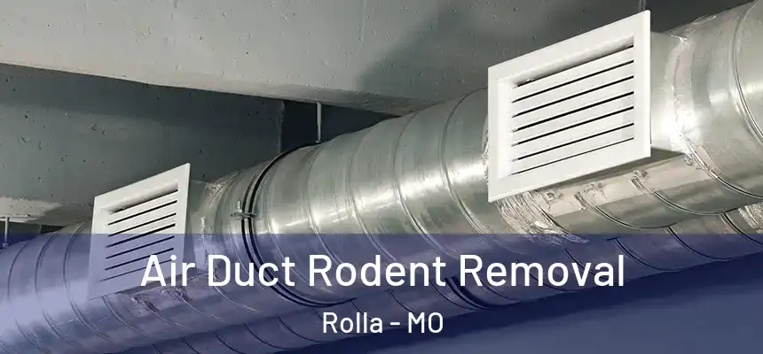  Air Duct Rodent Removal Rolla - MO