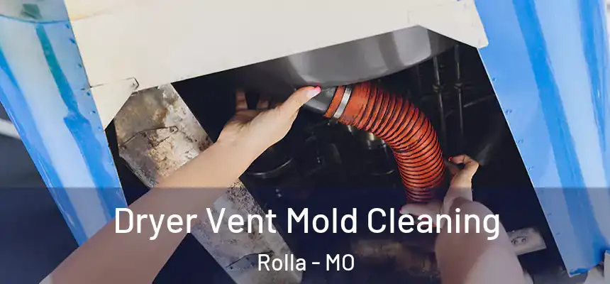 Dryer Vent Mold Cleaning Rolla - MO