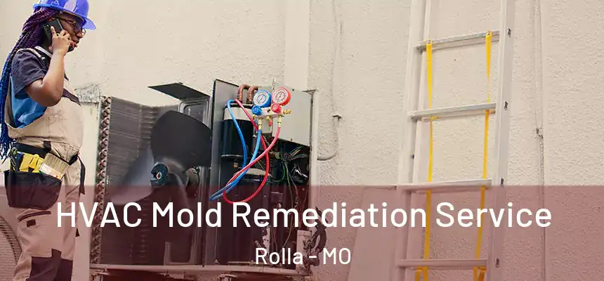HVAC Mold Remediation Service Rolla - MO