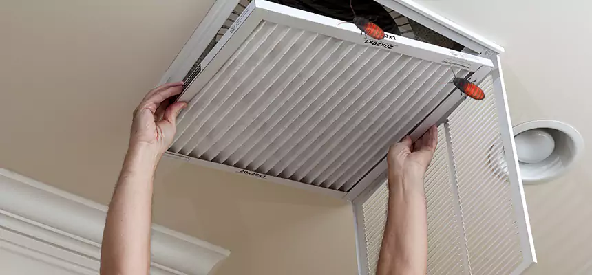 Preventive Cockroach-Proofing for Ducts in Rolla