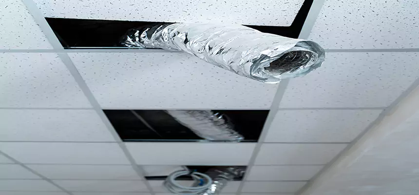 Affordable HVAC Sanitizing After Pest Removal in Rolla