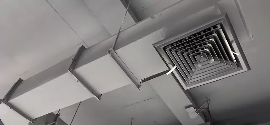 Our Pest Removal From Ducts Services in Rolla, MO