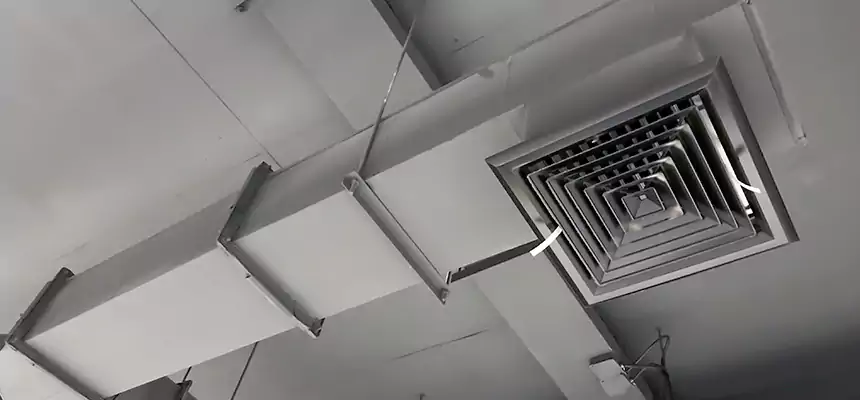 Our Rodent Droppings In Vents Services in Rolla, MO