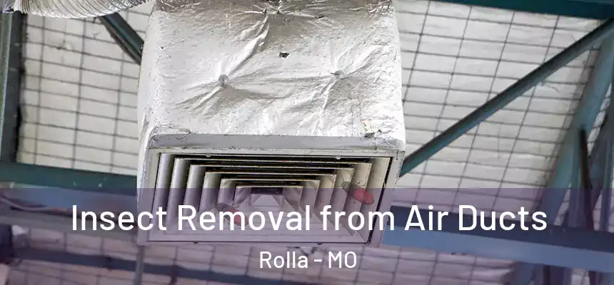 Insect Removal from Air Ducts Rolla - MO
