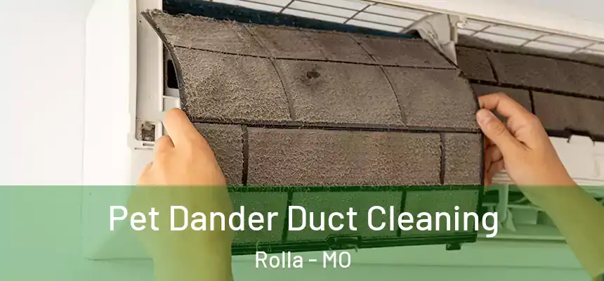  Pet Dander Duct Cleaning Rolla - MO