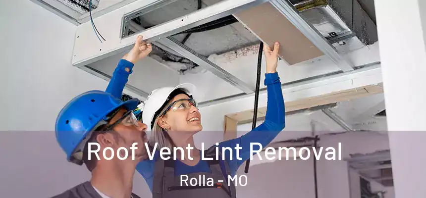  Roof Vent Lint Removal Rolla - MO