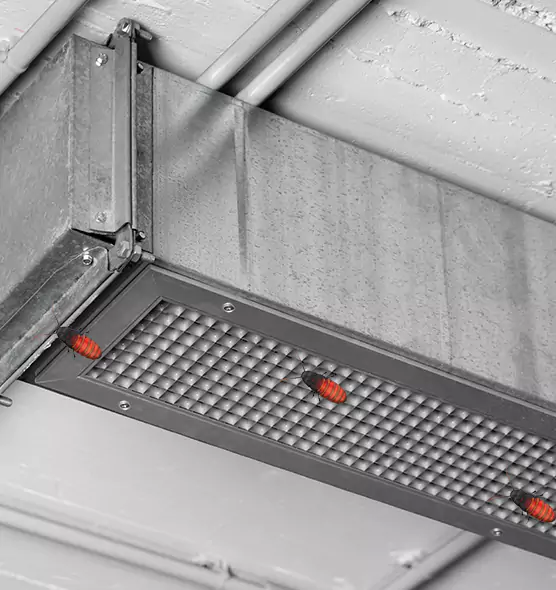About Air Duct Cockroach Removal in Rolla, MO