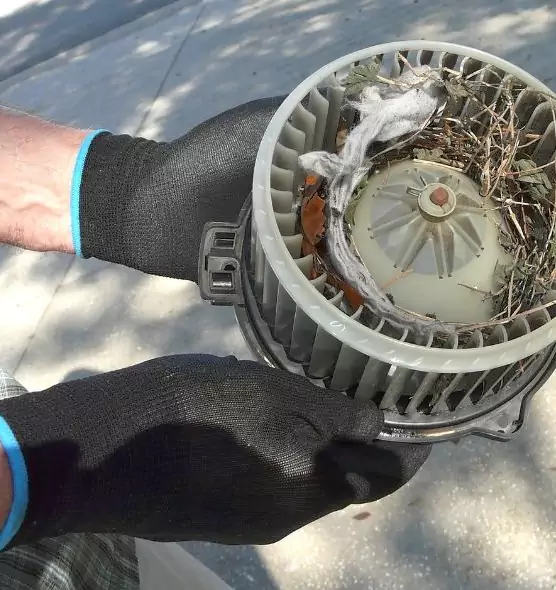 About Air Duct Rat Removal in Rolla, MO