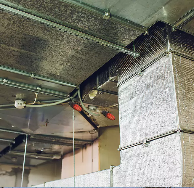 Why Homeowners & Businesses Trust Us in Rolla, MO?