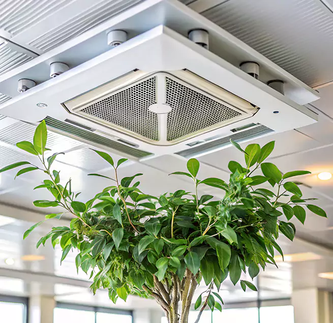 Why Homeowners & Businesses Trust Us in Rolla, MO?