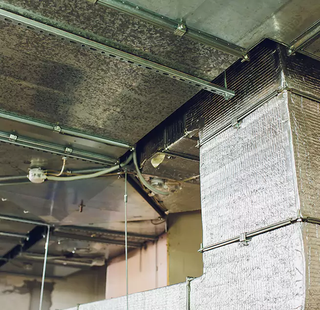 Why Homeowners & Businesses Trust Us in Rolla, MO?